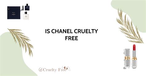 is chanel cruelty free|chanel code of ethics.